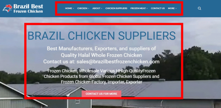 How We Transformed a Dead B2B Website with a Stunning Redesign and Holistic SEO to Get Organic Traffic and 9X ROI.